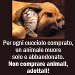 comprare animali.jpg - 46.65 Kb